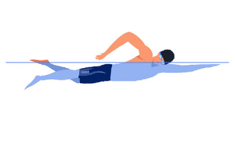 Freestyle swimming demonstration